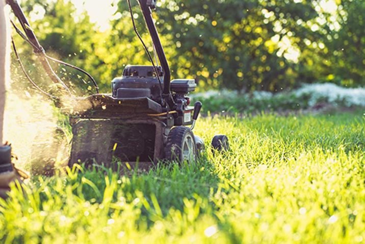 Top Tips to Mowing a Wet Lawn after Rain