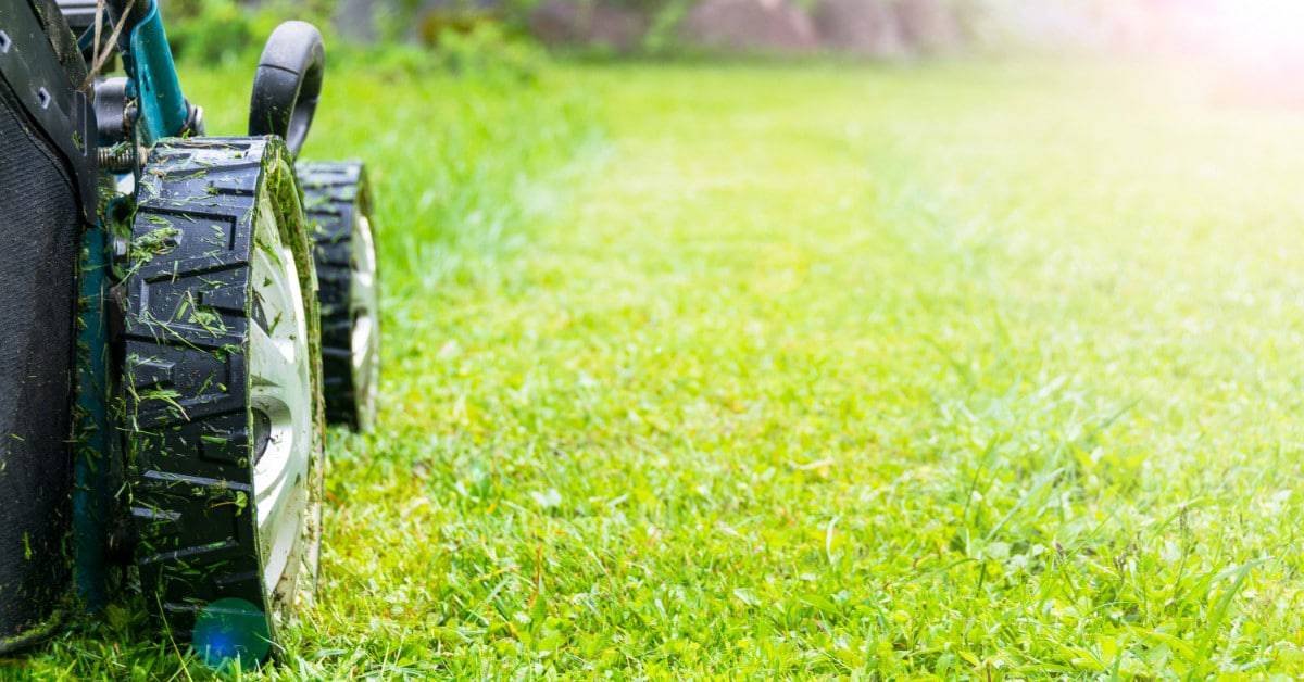 Top Tips to Mowing a Wet Lawn after Rain
