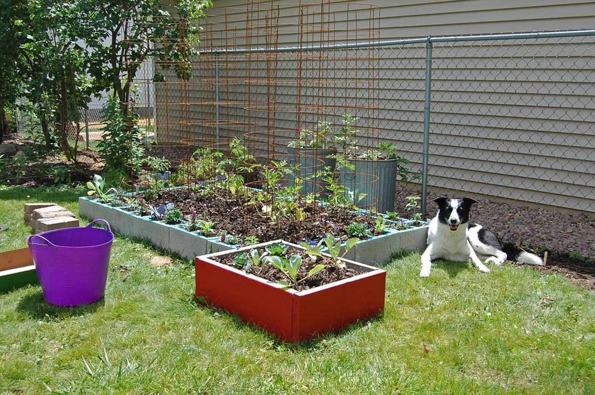 Create raised beds for your garden