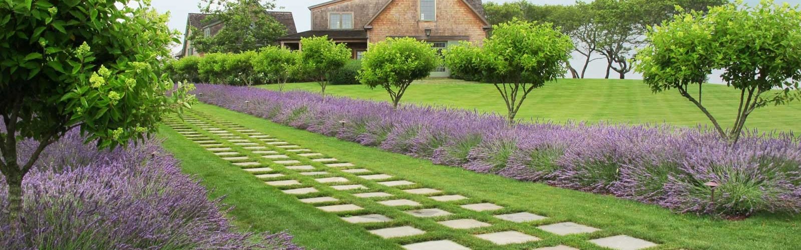 Lawn into Gardening Space