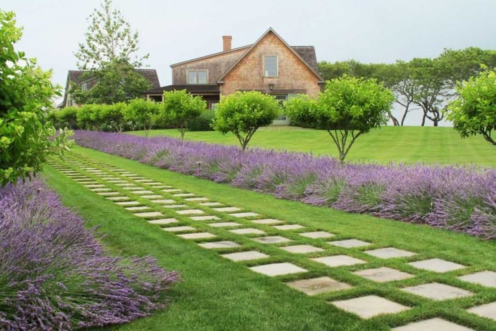 Lawn into Gardening Space