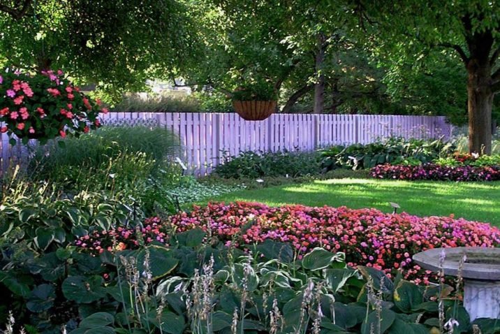 Planting-shade-trees