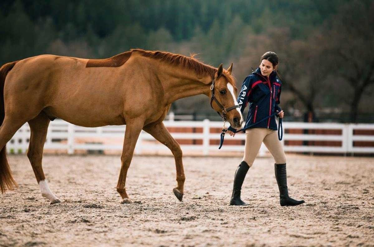 A Quick Guide to Essential Horse Riding Equipment