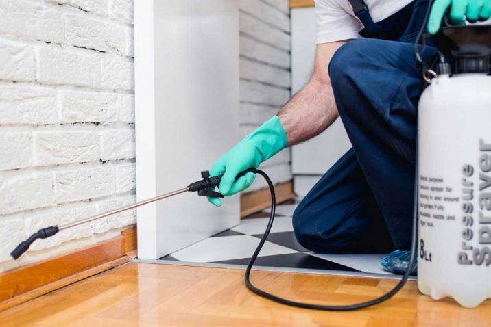 4 Essential Pest Control Tips for Homeowners