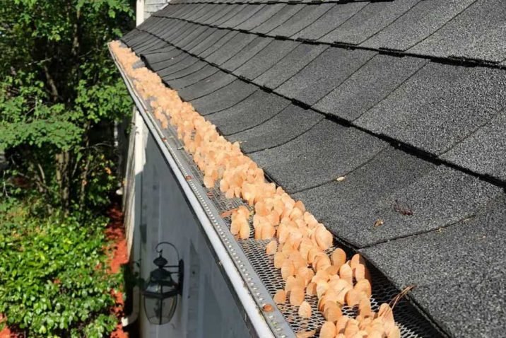 Are Gutter Guards Worth the Trouble