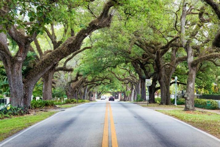 Trees-on-Your-Property