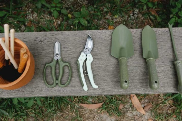 Essential Garden Tools List