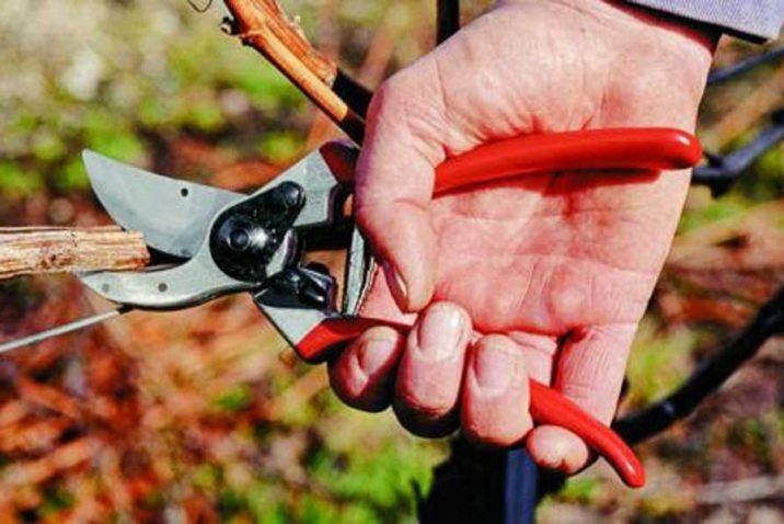 Felco Classic Pruning Shears