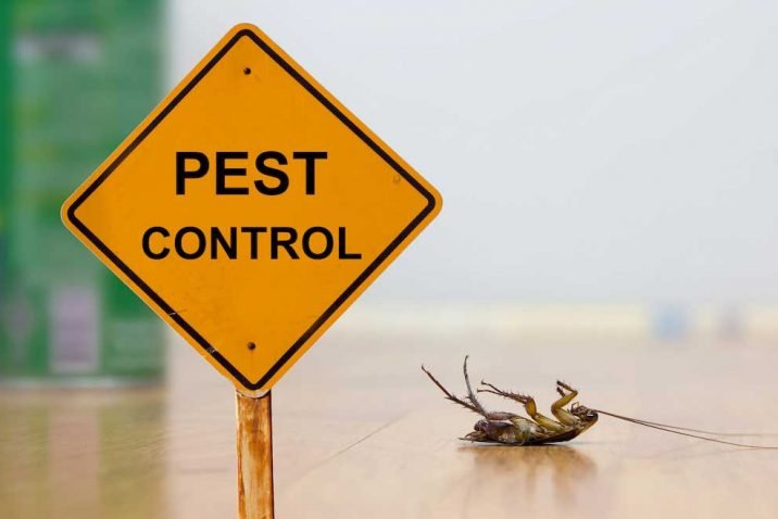 Pest Control DIY