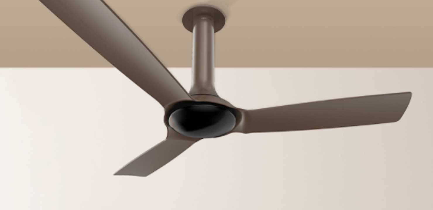 the right ceiling fan online