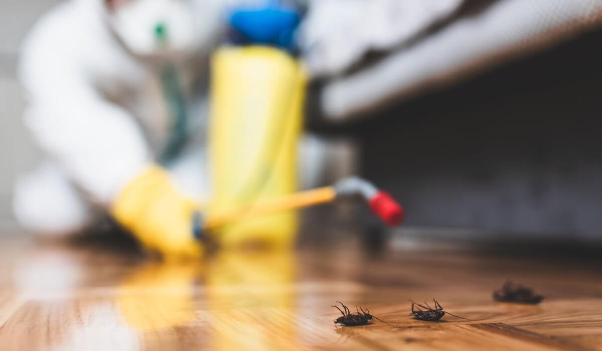 home pest control