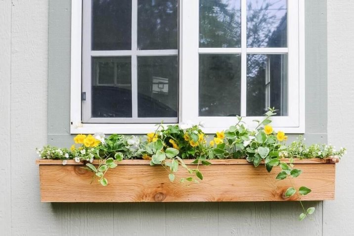 7 Reasons to Purchase Flower Window Boxes