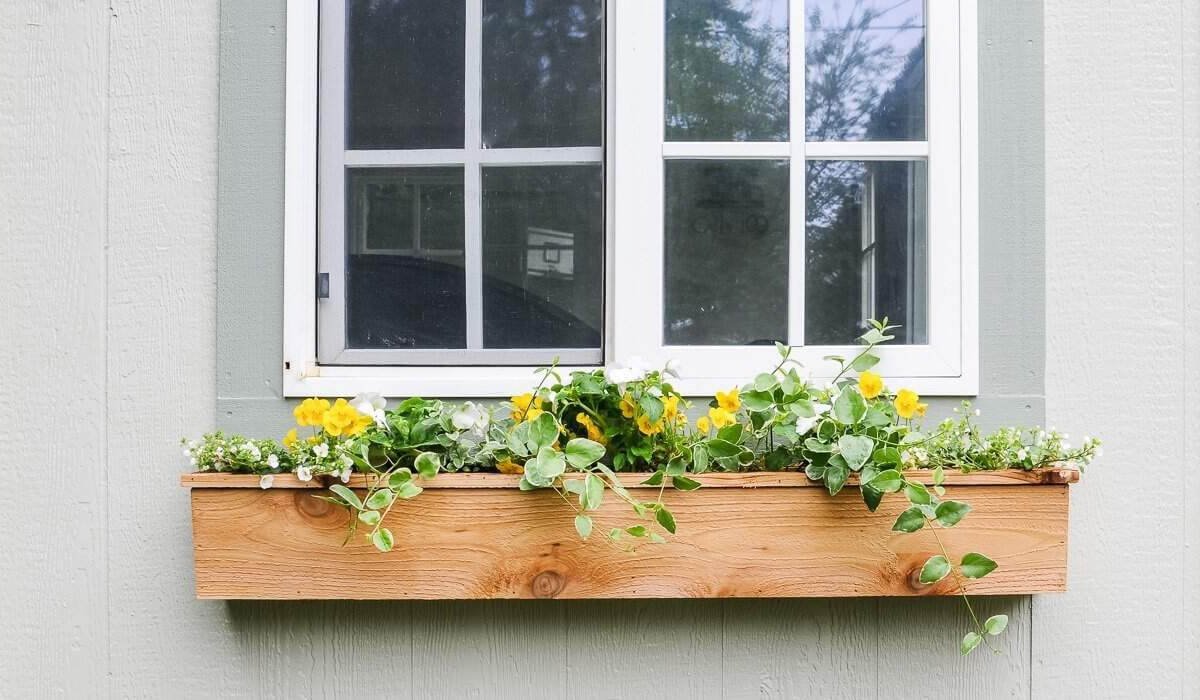 7 Reasons to Purchase Flower Window Boxes