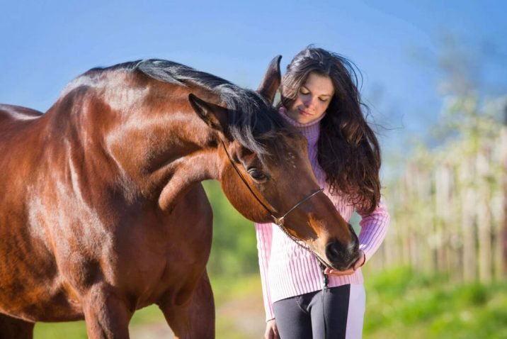 What Are the Best Horse Snacks