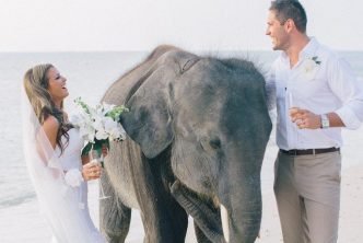 A Guide to Getting Married in Thailand