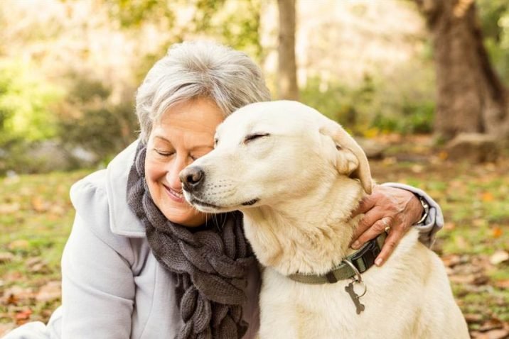 How Companion Animals Can Help Manage Grief and Trauma