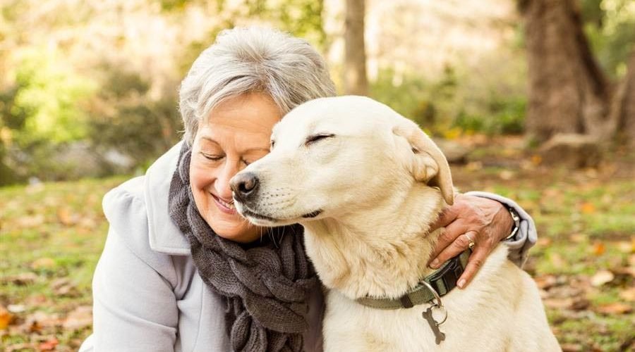 How Companion Animals Can Help Manage Grief and Trauma