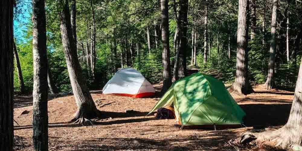 The Ultimate Guide To Camping For Beginners