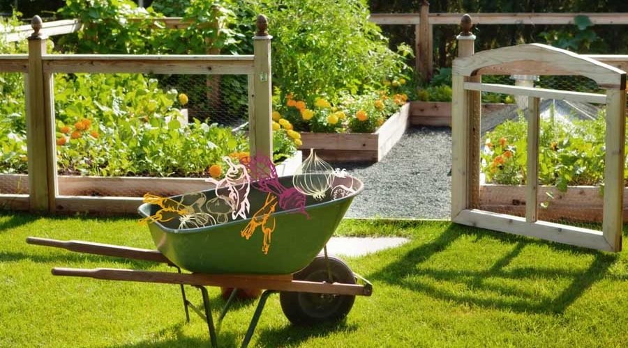 5 gardening ideas