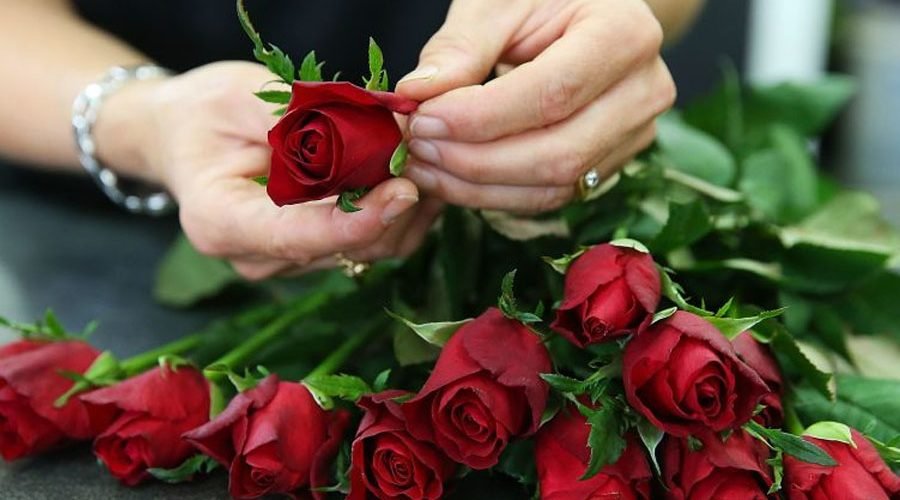 What To Look For In The Best Deal On Valentine's Day Roses