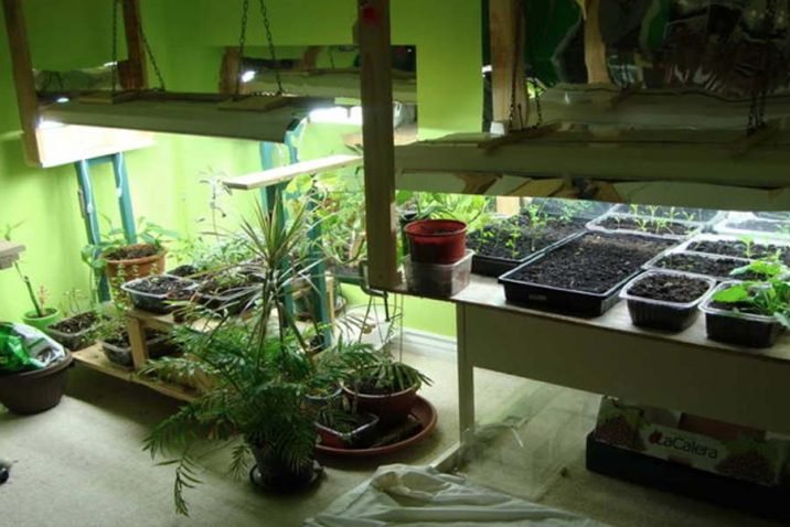 Guide To Gardening Grow Lights Indoor