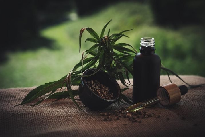 Learn About The Perfect Autoflower Stress Killer
