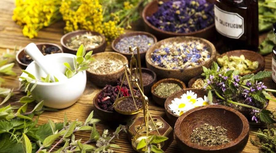 5 Herbal Remedies for Common Ailments