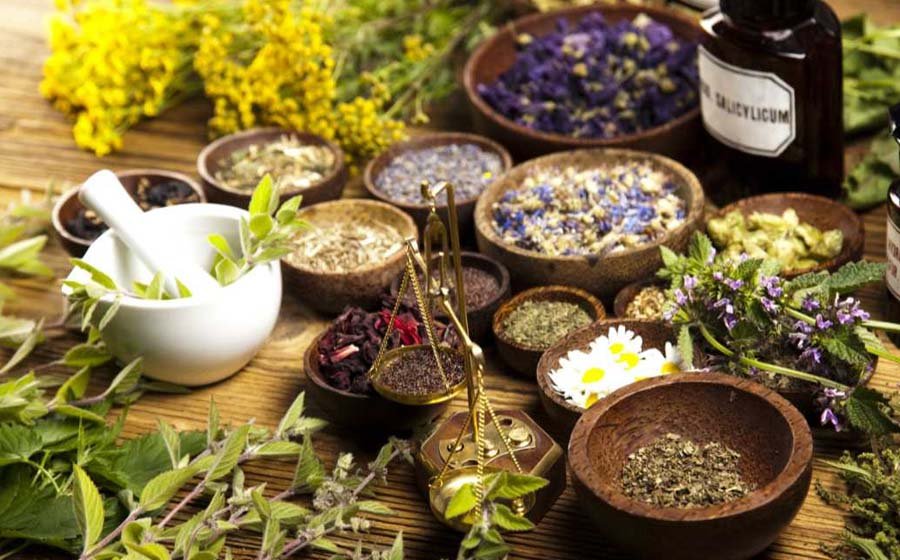 5 Herbal Remedies for Common Ailments