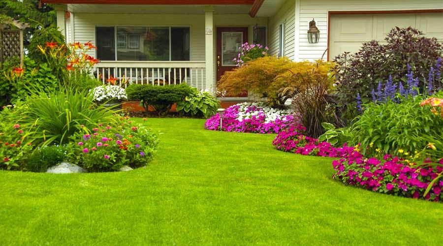 How Lawn Biostimulants Keep your Lawn Green and Healthy