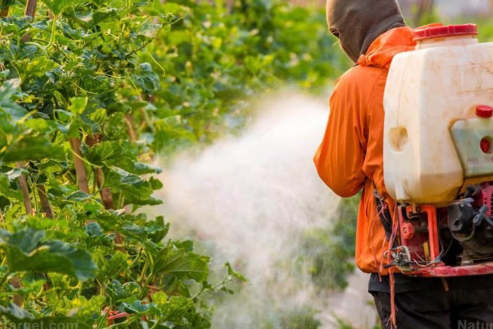 How To Use Pesticides More Effectively At Home