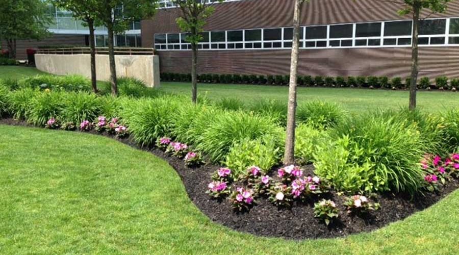 How to Add Year-Round Color to Your Commercial Property's Landscaping