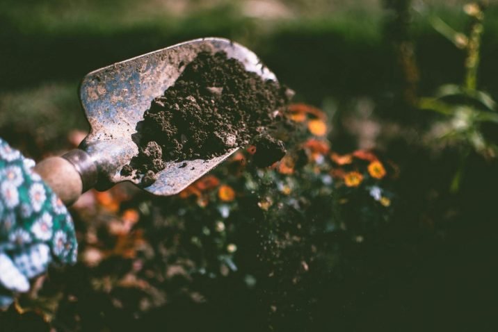 How to Improve Soil Quality in Your Garden