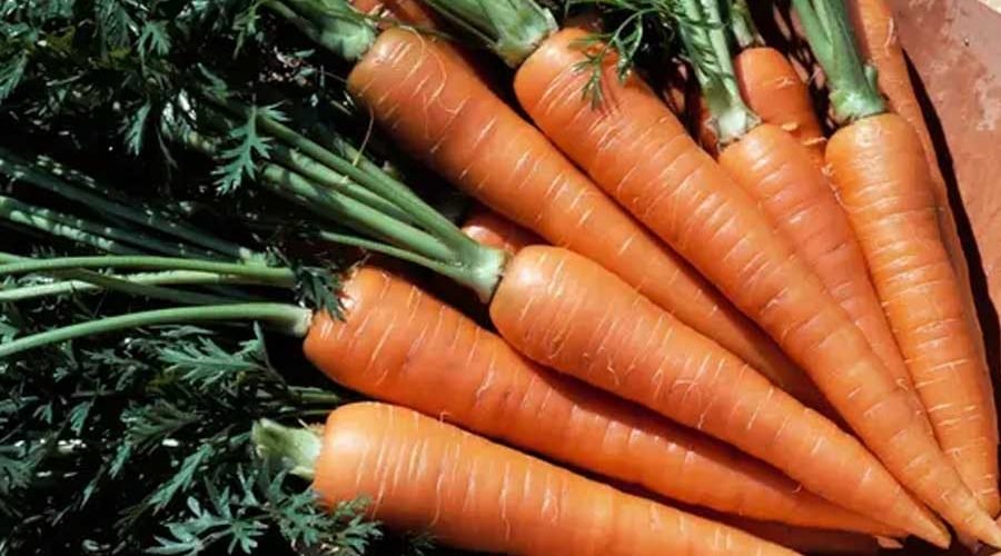 Keep an Eye Out for the Best Vitamin A Foods for Skin, Eyes, and More