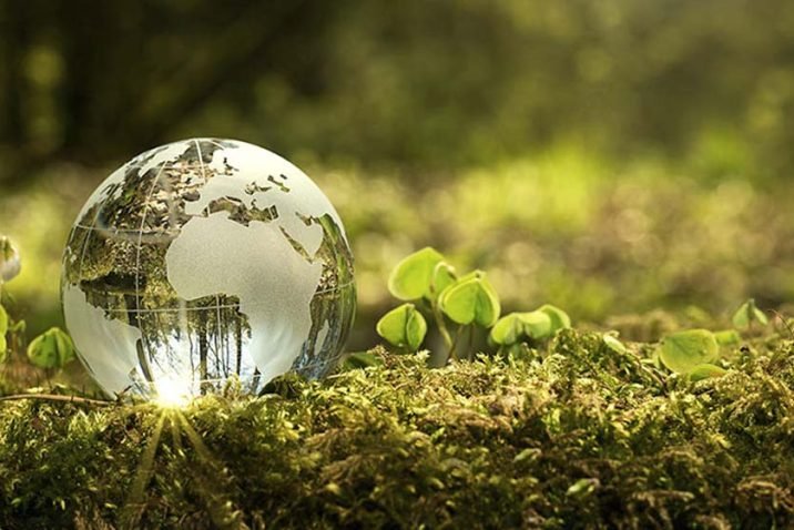 The Future of Sustainability