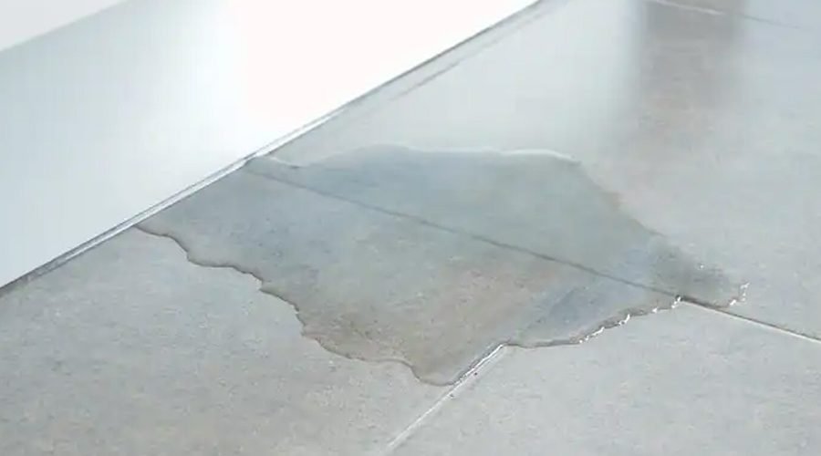 What Happens When Water Seeps into Your Walls