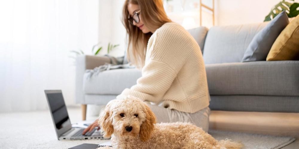 The Benefits of Air Filters for Pet Owners How to Reduce Pet Dander and Odors