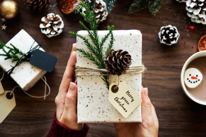 Eco-Friendly Friendship Day Gifting Ideas