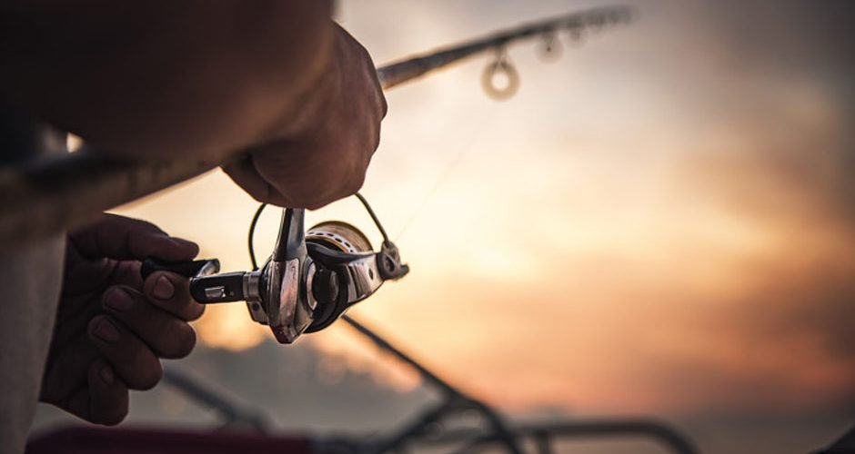 Freshwater vs. Saltwater Fishing Key Differences and Benefits