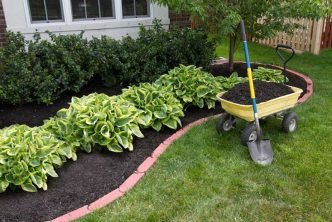 Using Mulch in Your Garden