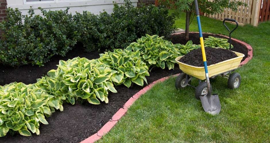 Using Mulch in Your Garden