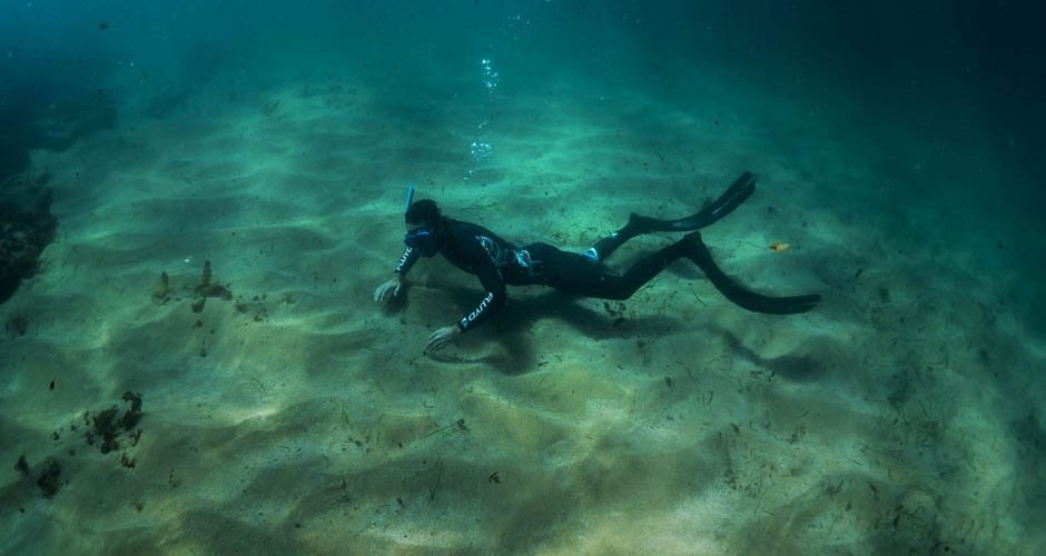 Try Freediving in Sydney