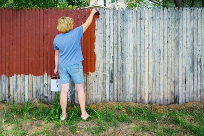 Fence Staining vs. Painting