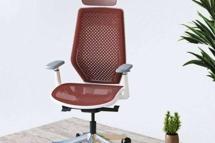 Introducing the Exclusive Ergonomic Chair (C8)