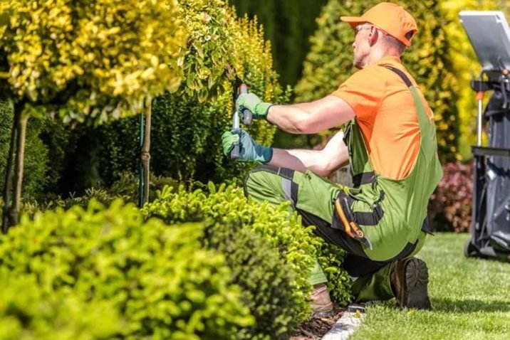 What do landscapers do