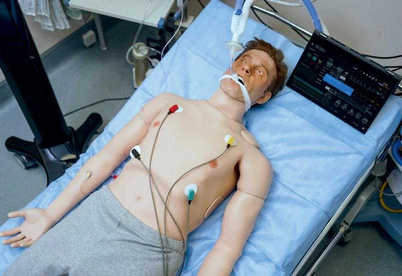 The Crucial Role of High-Fidelity Simulation in Modern Medical Training 3