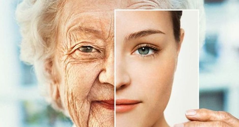 The Science of Aging Reversal