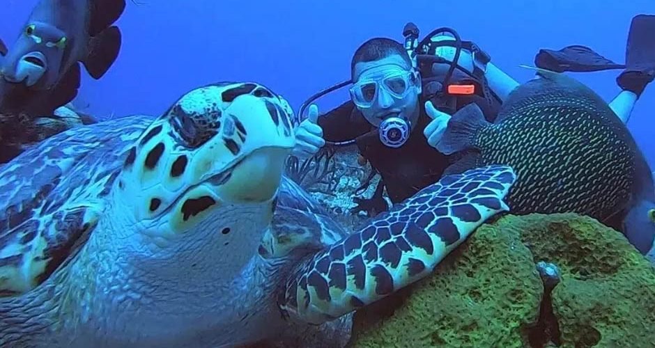 Scuba Diving in Cozumel