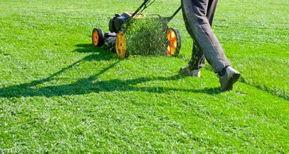 lawn care