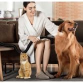 Air-Dry or Blow-Dry? What Pet Owners Are Getting Wrong About Post-Bath Grooming