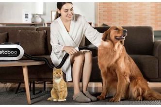 Air-Dry or Blow-Dry? What Pet Owners Are Getting Wrong About Post-Bath Grooming